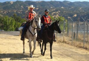 image-full-365471-9613975872b9720fc9437af952946de3