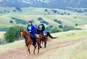 image-full-365473-d710e5824a61d95d55f93f6ae351a0f8