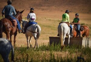 image-full-365478-a2fffc161c83b52c73d88a03a0a24b8a