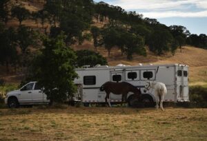 image-full-365483-a494b75f9ec4de1d9f0ce88444e759f2