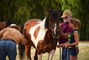 image-full-365485-c280c3a9cbac6bec084f6e5146bc2e25